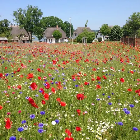 Am Kluenderberg بيت ضيافة بينز