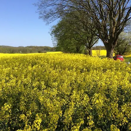 Am Kluenderberg 게스트하우스